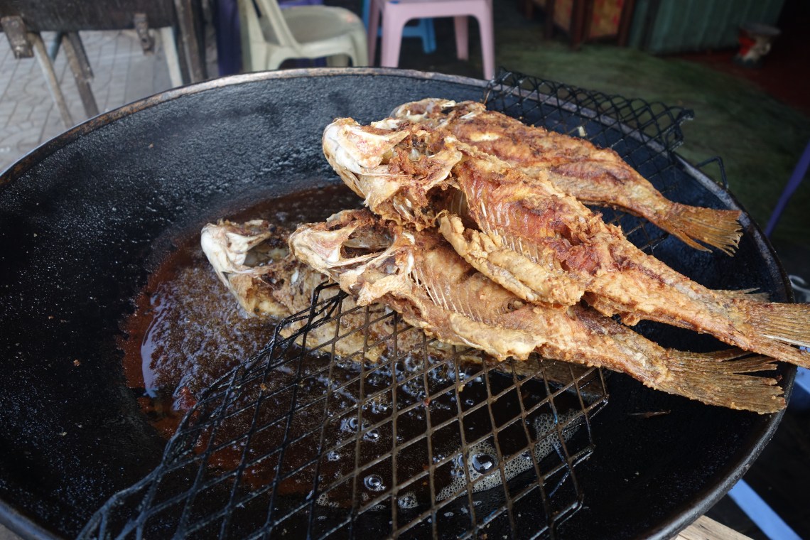 bahir-dar-tilapia-fish