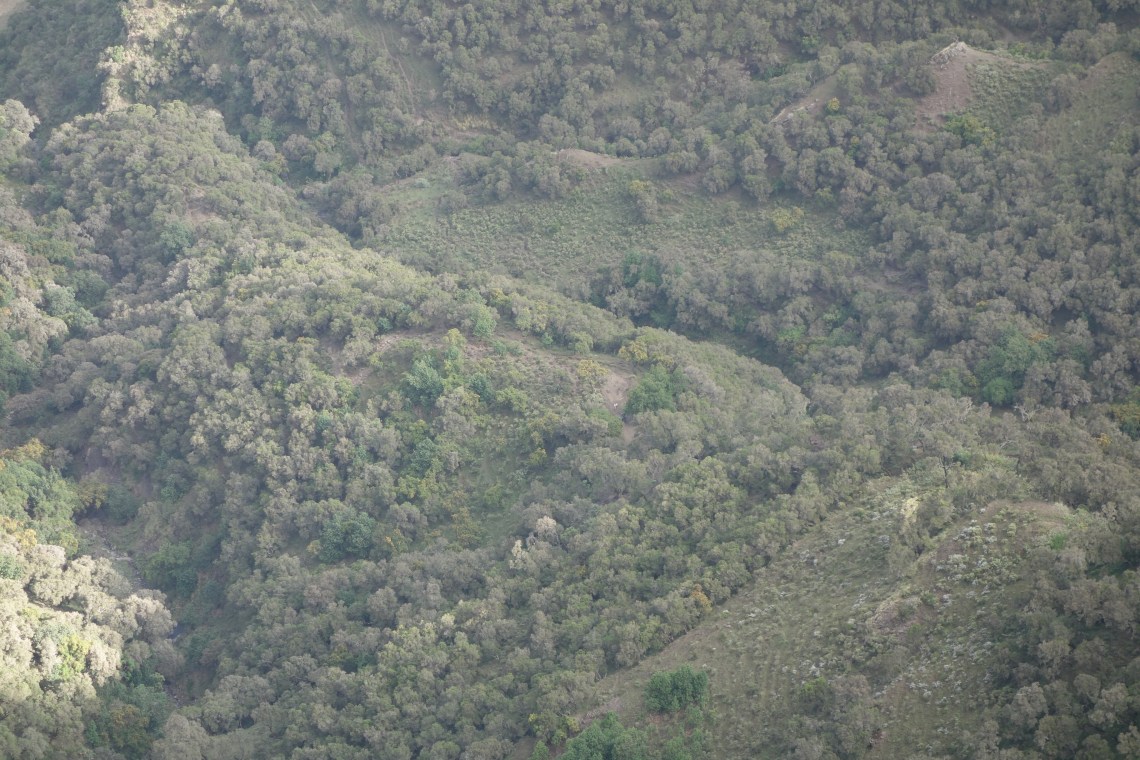 simien-mountains-residents