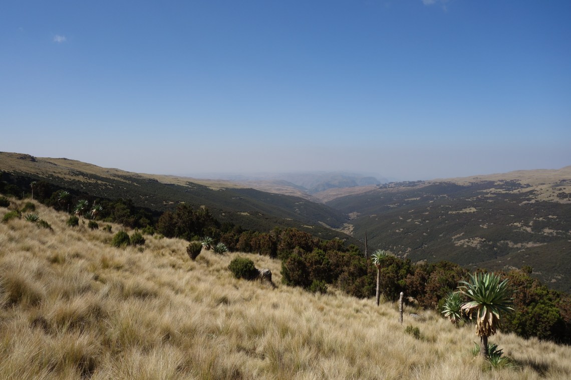 simien-mountains-valley