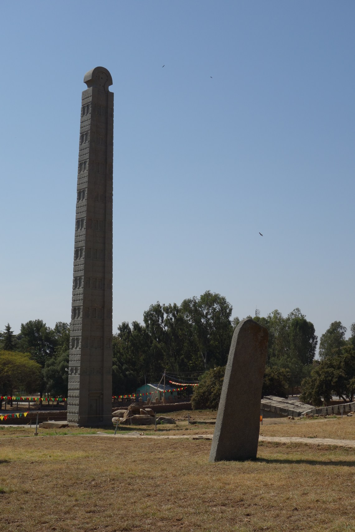 axum aksum stelae field (2)