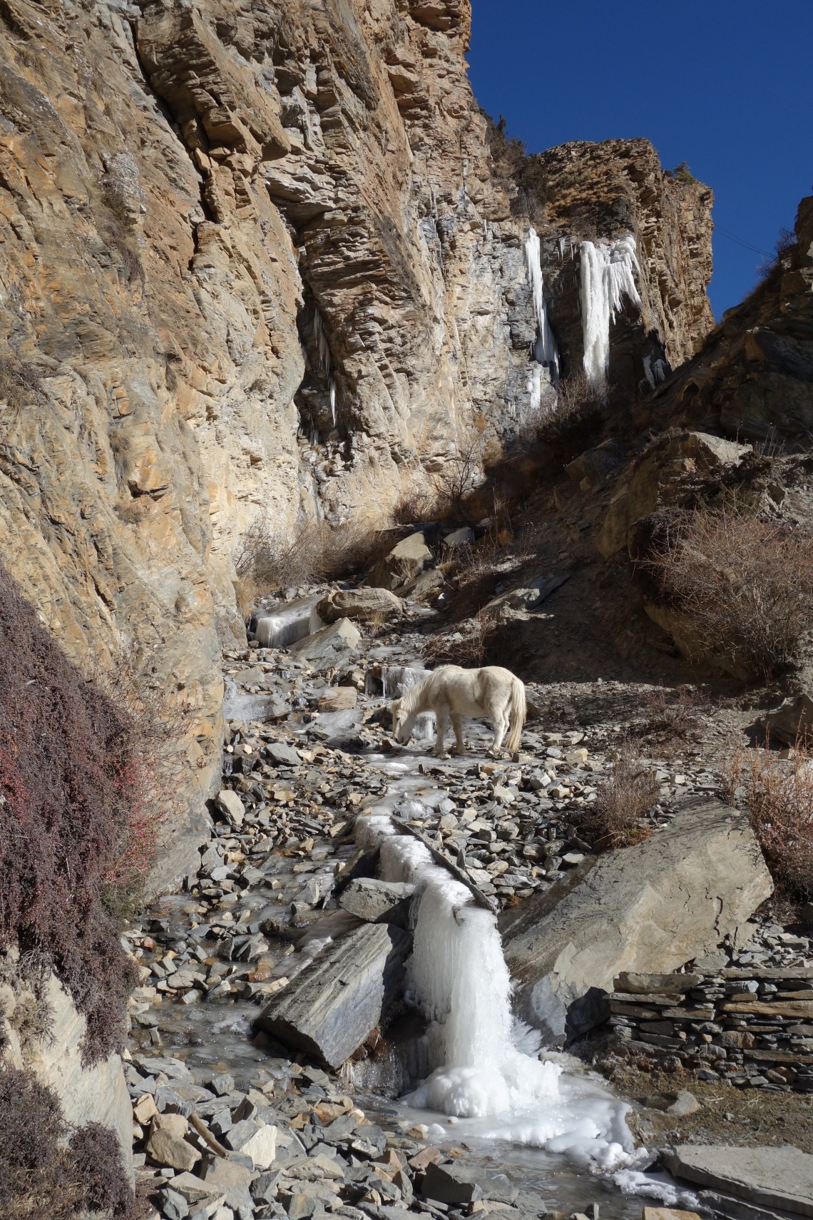 frozen waterfall nepal himalayas