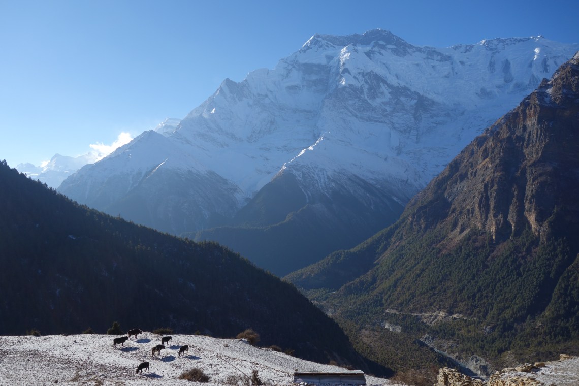 view from ghyaru nepal
