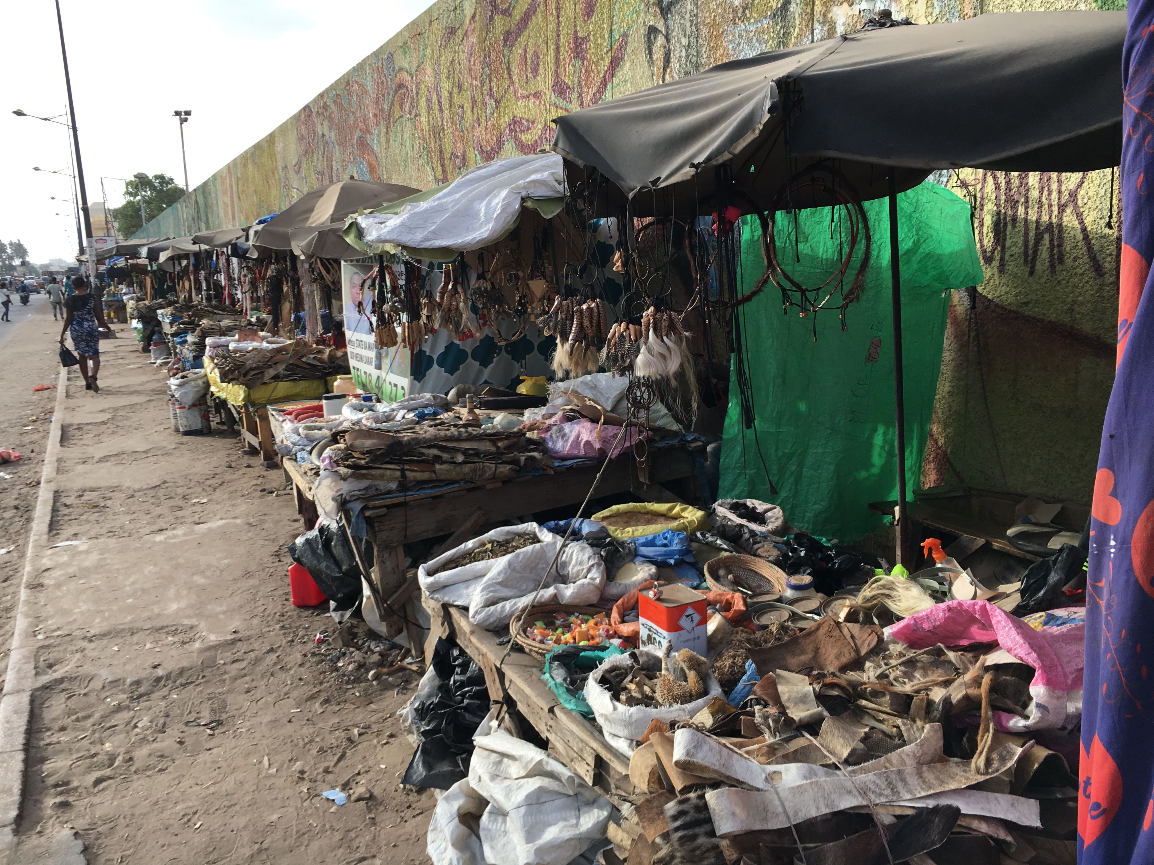 fetish market voodoo vodou dakar senegal travel blog