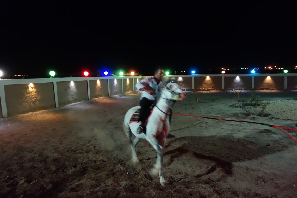 kashan horse track iran travel blog (3)