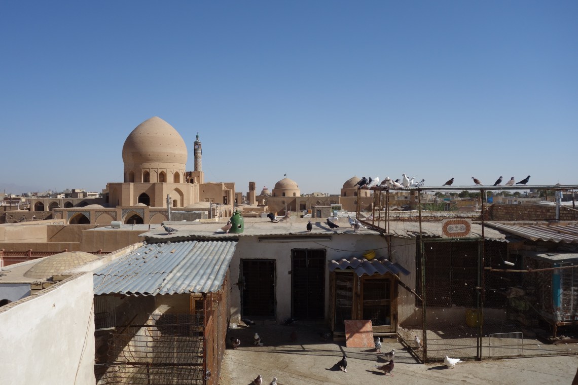 pigeons kashan rooftops iran travel blog (1)