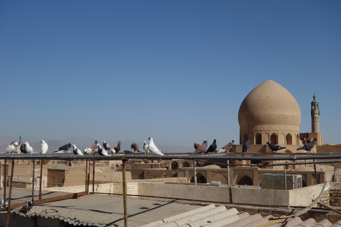 pigeons kashan rooftops iran travel blog (2)